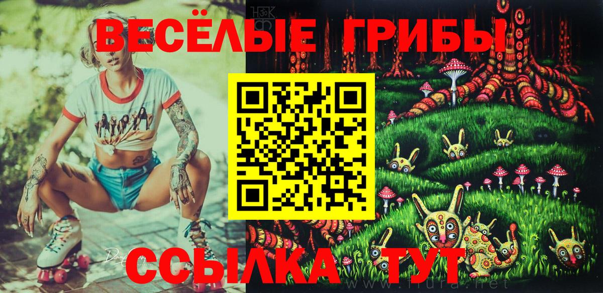 Галлюциногенные грибы GOLDEN TEACHER Мыски